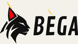 Bėga